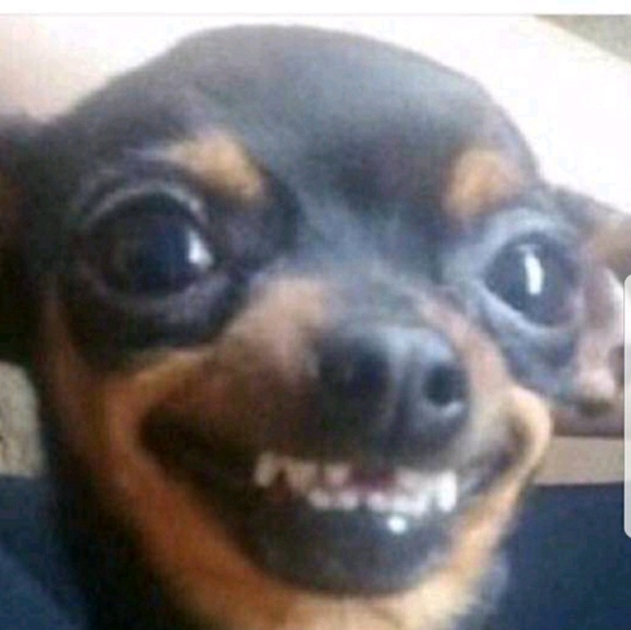 talio300
